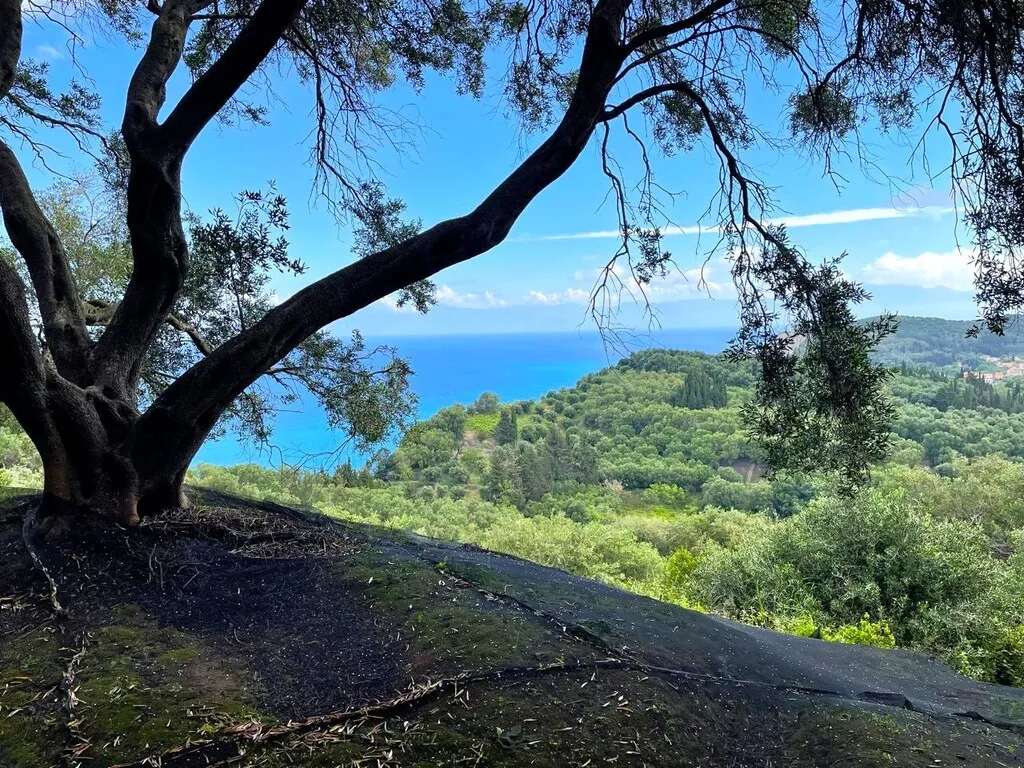 οικόπεδο προς πώληση 4337 τ.μ Κέρκυρα Νομός Κέρκυρας