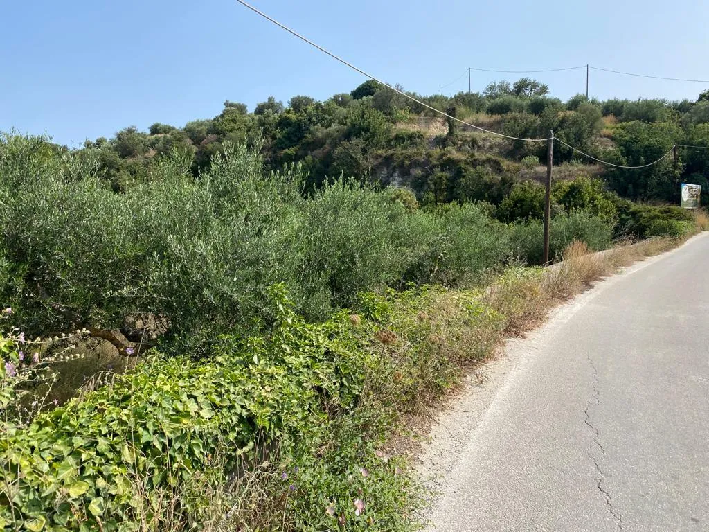 οικόπεδο προς πώληση 3092 τ.μ Βάμος Νομός Χανίων