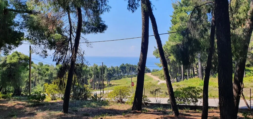 βίλα προς πώληση 440 τ.μ Κασσάνδρα Χαλκιδική