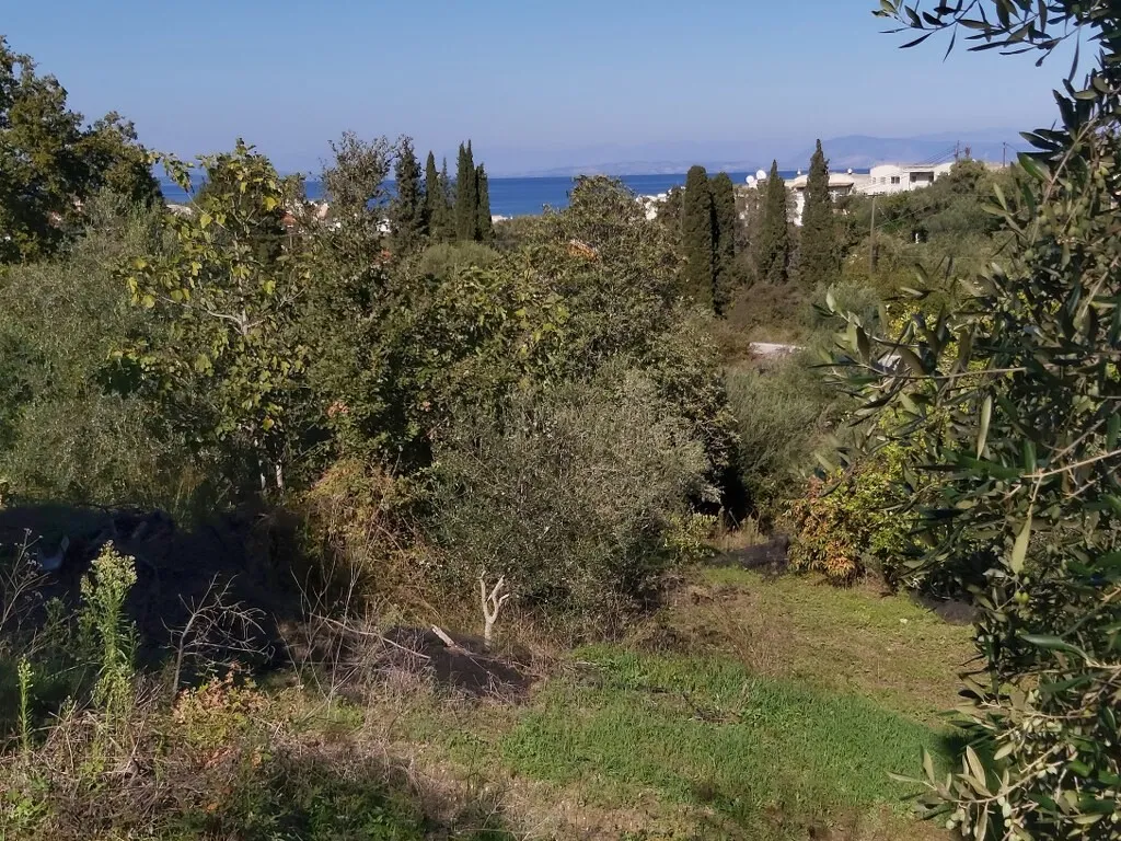 οικόπεδο προς πώληση 6500 τ.μ Κέρκυρα Νομός Κέρκυρας