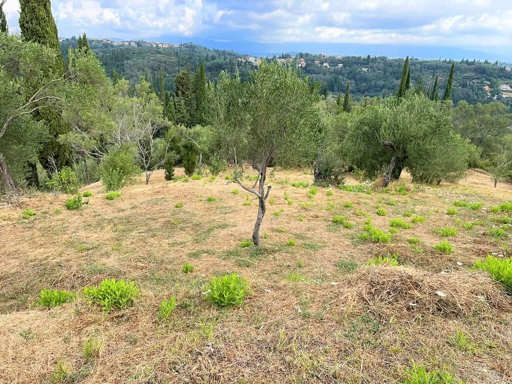 οικόπεδο προς πώληση 2120 τ.μ Κέρκυρα Νομός Κέρκυρας