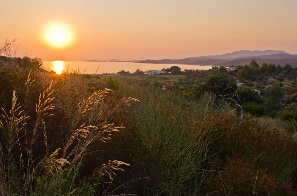 οικόπεδο προς πώληση 223 τ.μ Σιθωνία Χαλκιδική