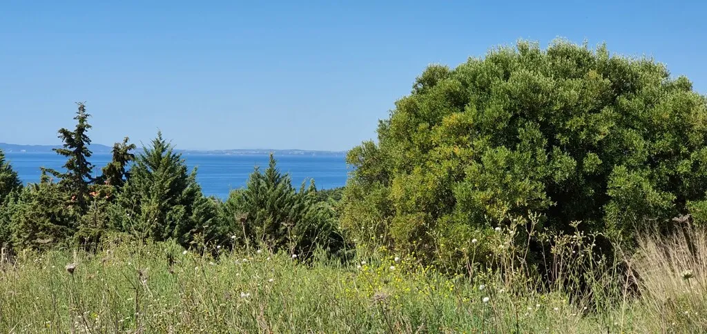 οικόπεδο προς πώληση 4000 τ.μ Σιθωνία Χαλκιδική