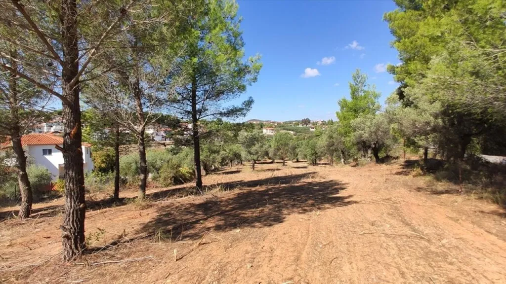 οικόπεδο προς πώληση 3208 τ.μ Πολύγυρος Χαλκιδική