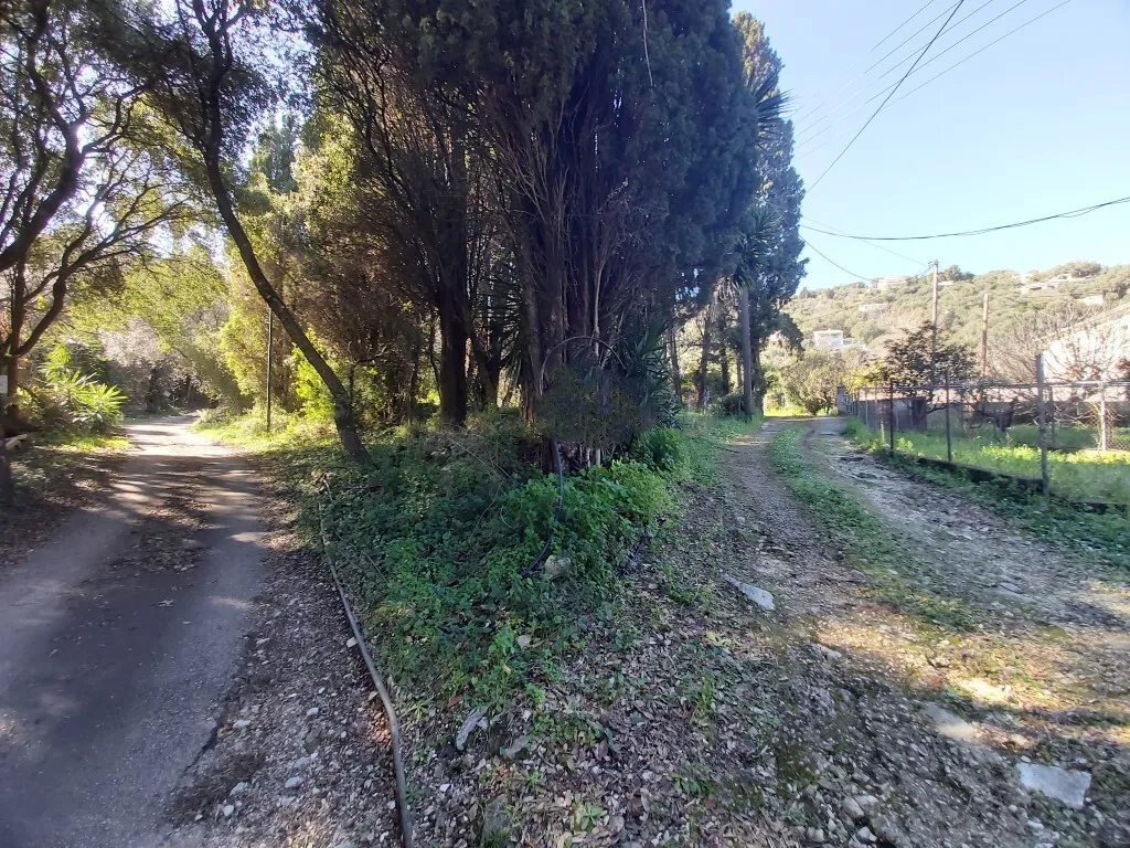 οικόπεδο προς πώληση 2770 τ.μ Κέρκυρα Νομός Κέρκυρας