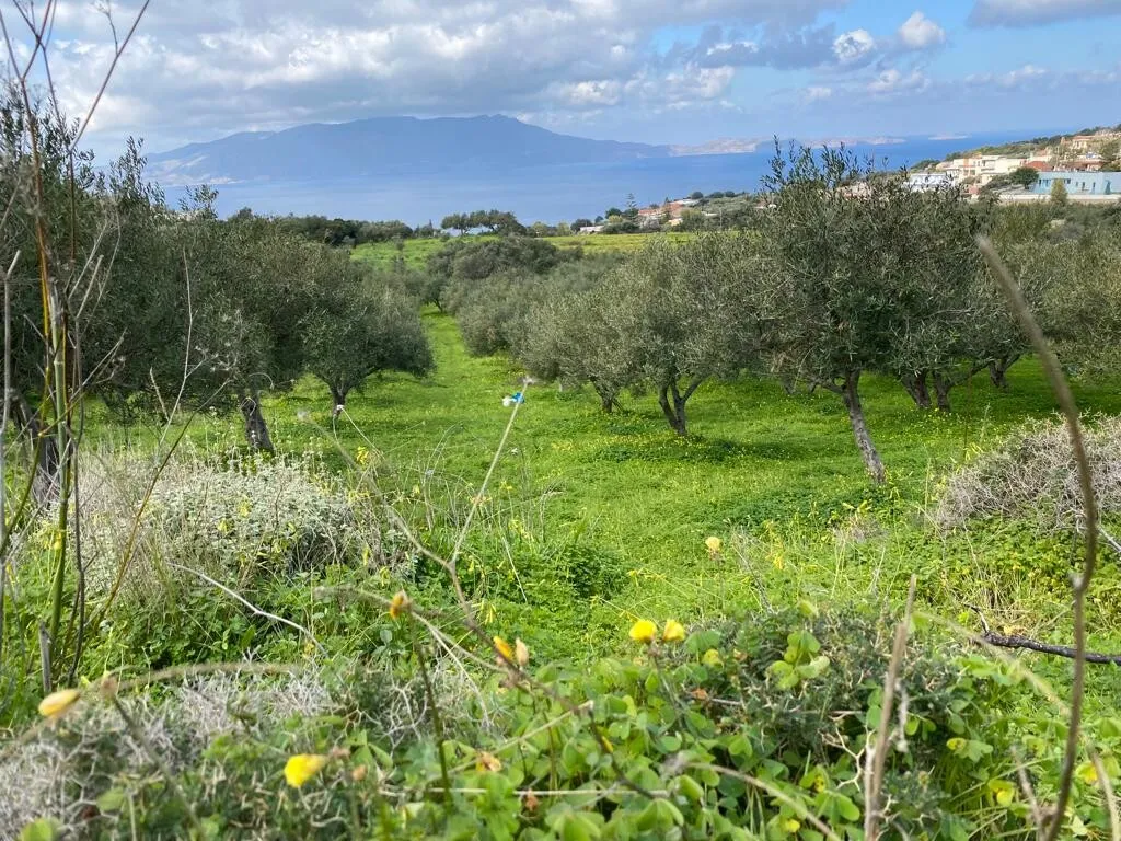 οικόπεδο προς πώληση 2140 τ.μ Κολυμβάρι Νομός Χανίων