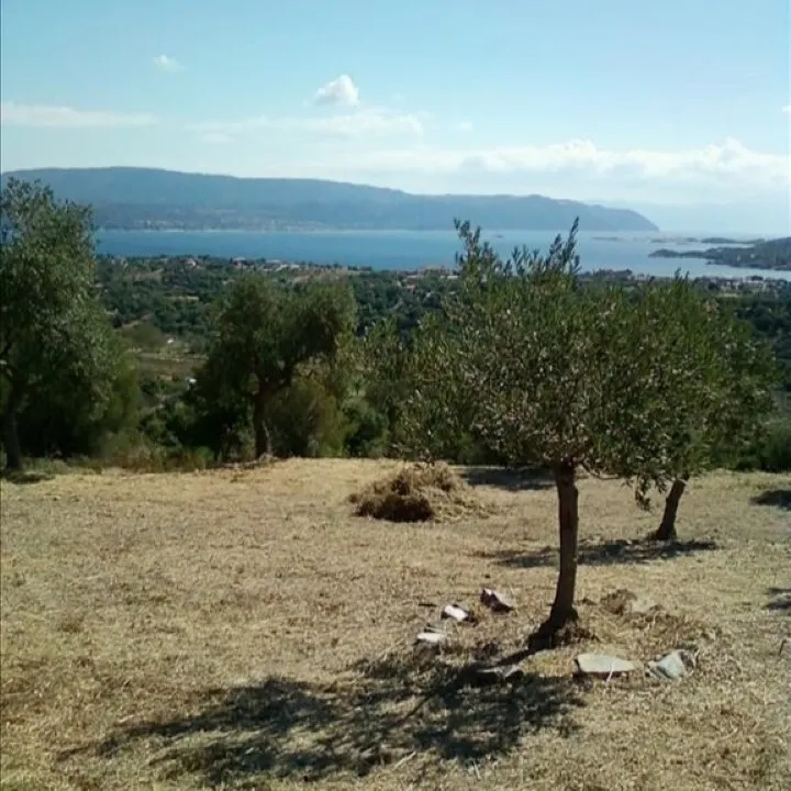 οικόπεδο προς πώληση 1700 τ.μ Αριστοτέλης Χαλκιδική
