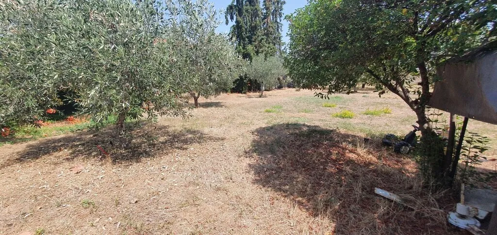 οικόπεδο προς πώληση 900 τ.μ Νέα Προποντίδα Χαλκιδική