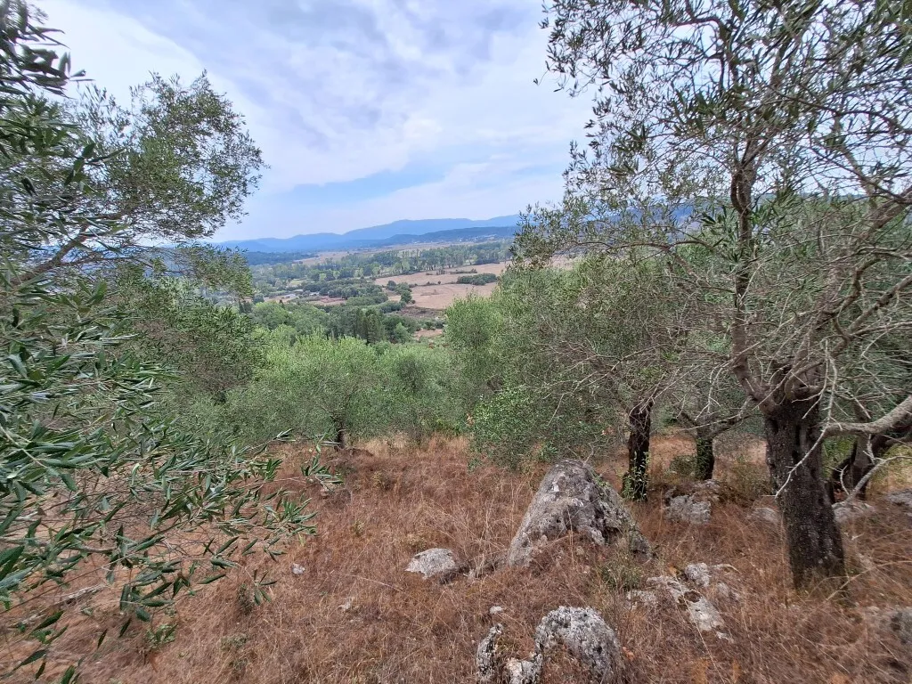 οικόπεδο προς πώληση 13000 τ.μ Κέρκυρα Νομός Κέρκυρας
