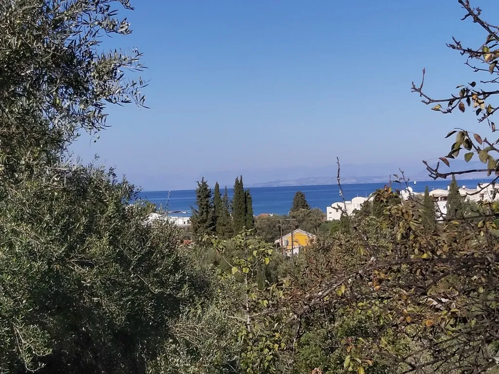 οικόπεδο προς πώληση 6500 τ.μ Κέρκυρα Νομός Κέρκυρας