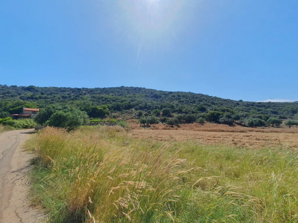 οικόπεδο προς πώληση 28752 τ.μ Άγιος Νικόλαος Νομός Λασιθίου