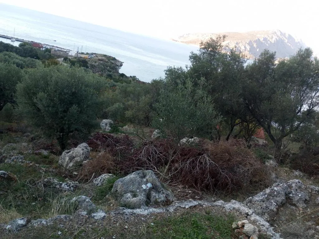 οικόπεδο προς πώληση 1170 τ.μ Κάλαμος Νομός Λευκάδας