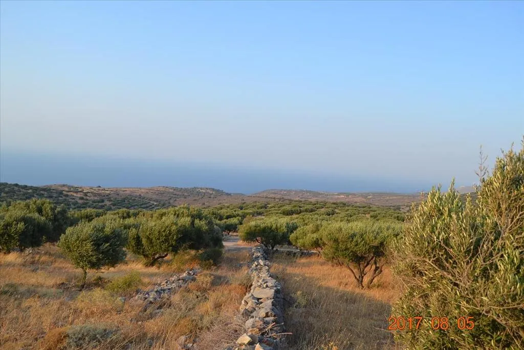 οικόπεδο προς πώληση 15570 τ.μ Άγιος Νικόλαος Νομός Λασιθίου