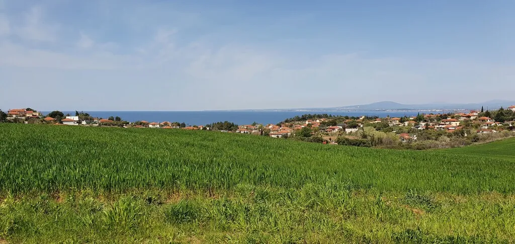 οικόπεδο προς πώληση 5250 τ.μ Κασσάνδρα Χαλκιδική