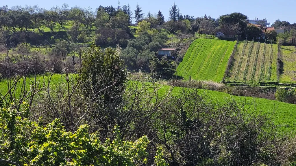 οικόπεδο προς πώληση 4625 τ.μ Μίκρα Προάστια Θεσσαλονίκης