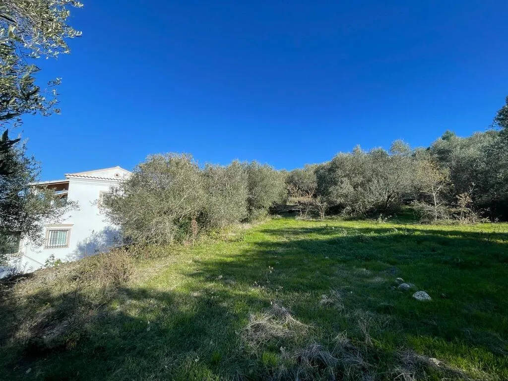 οικόπεδο προς πώληση 14529 τ.μ Κέρκυρα Νομός Κέρκυρας