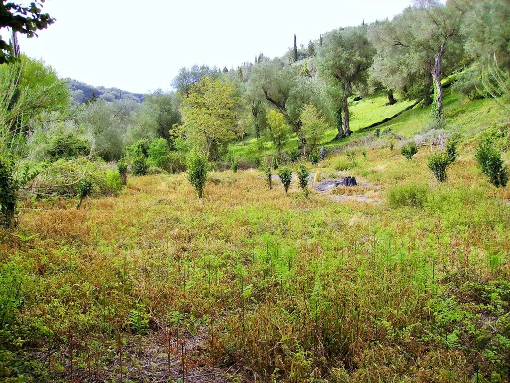 οικόπεδο προς πώληση 14460 τ.μ Κέρκυρα Νομός Κέρκυρας