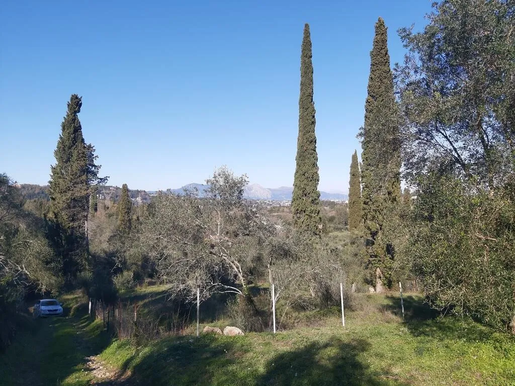 οικόπεδο προς πώληση 7000 τ.μ Κέρκυρα Νομός Κέρκυρας