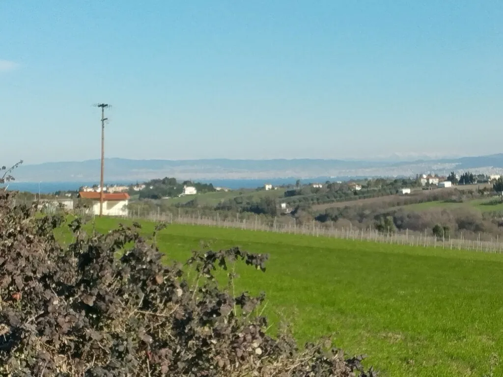 οικόπεδο προς πώληση 5800 τ.μ Επανωμή Προάστια Θεσσαλονίκης