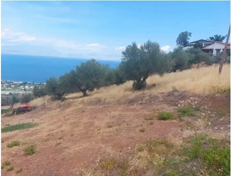 οικόπεδο προς πώληση 1943 τ.μ Ξυλόκαστρο Κορινθία
