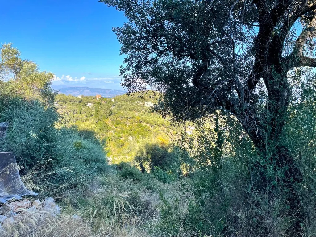 οικόπεδο προς πώληση 4982 τ.μ Κέρκυρα Νομός Κέρκυρας