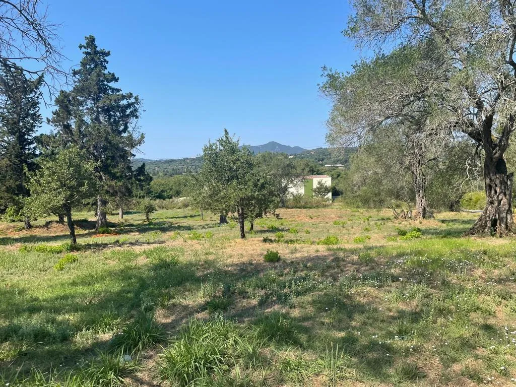 οικόπεδο προς πώληση 4154 τ.μ Κέρκυρα Νομός Κέρκυρας