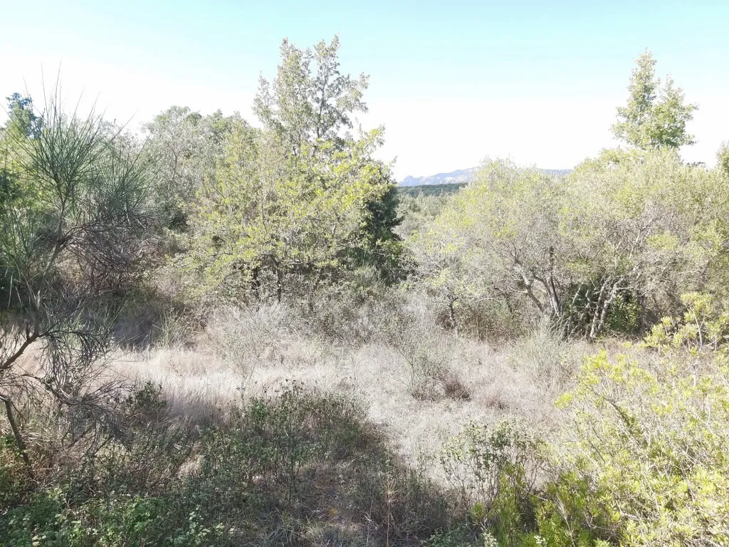 οικόπεδο προς πώληση 58000 τ.μ Κέρκυρα Νομός Κέρκυρας