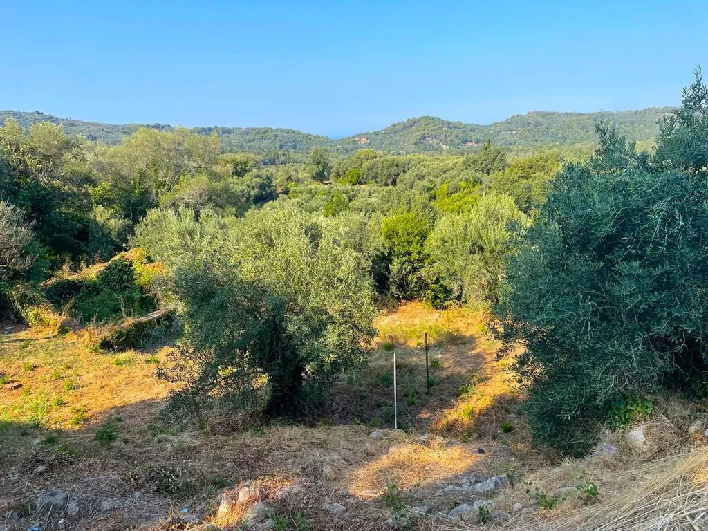 οικόπεδο προς πώληση 1047 τ.μ Κέρκυρα Νομός Κέρκυρας