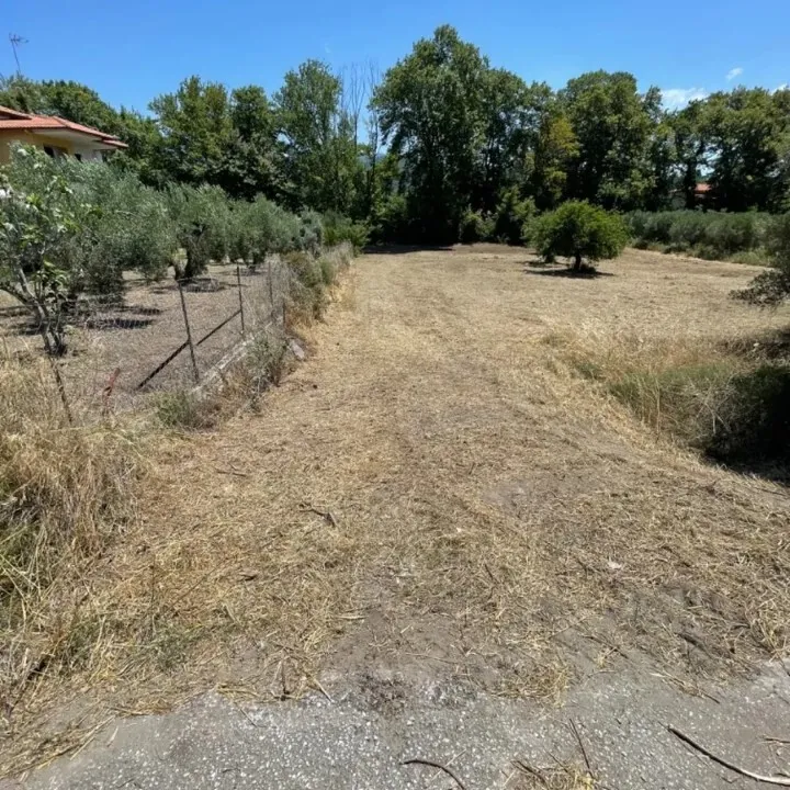 οικόπεδο προς πώληση 1800 τ.μ Σιθωνία Χαλκιδική