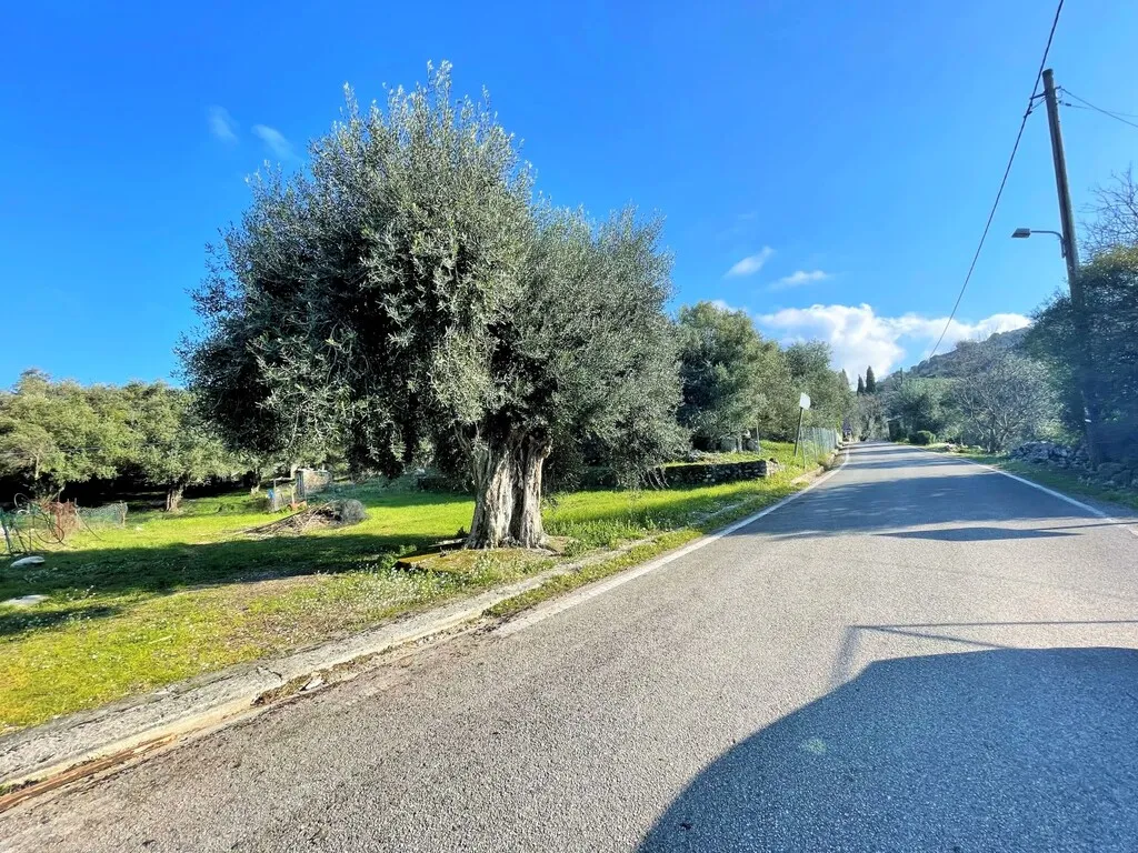 οικόπεδο προς πώληση 2206 τ.μ Κέρκυρα Νομός Κέρκυρας