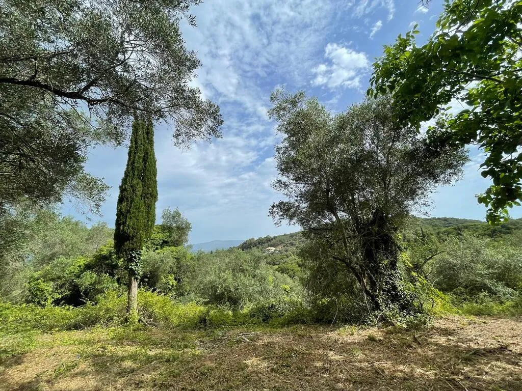 οικόπεδο προς πώληση 5020 τ.μ Κέρκυρα Νομός Κέρκυρας
