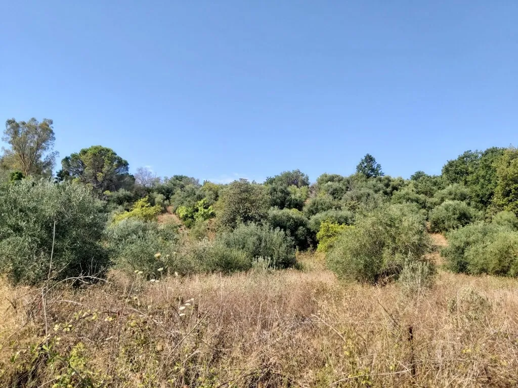 οικόπεδο προς πώληση 6500 τ.μ Κέρκυρα Νομός Κέρκυρας