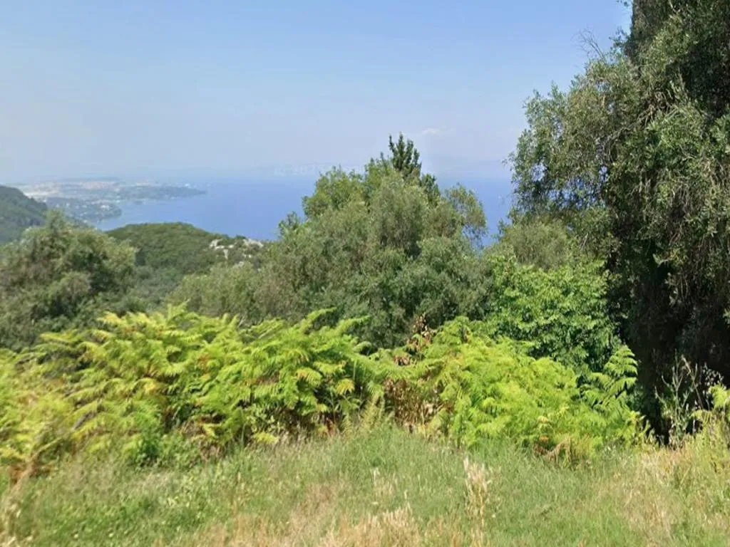 οικόπεδο προς πώληση 2300 τ.μ Κέρκυρα Νομός Κέρκυρας