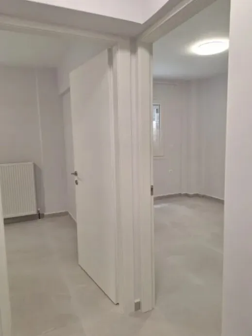 519