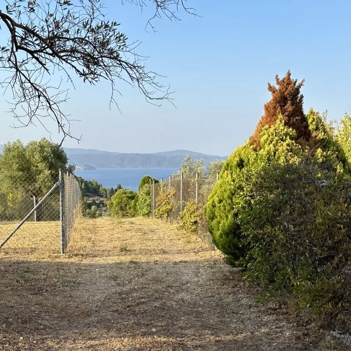 οικόπεδο προς πώληση 2700 τ.μ Σιθωνία Χαλκιδική