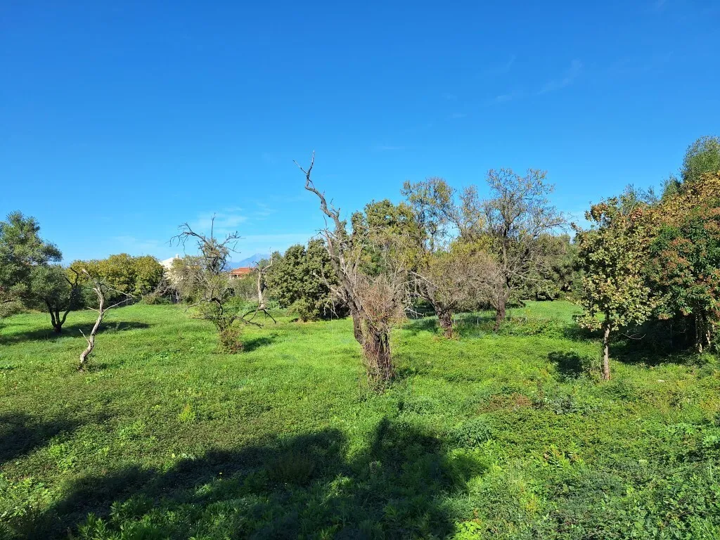 οικόπεδο προς πώληση 2110 τ.μ Κέρκυρα Νομός Κέρκυρας