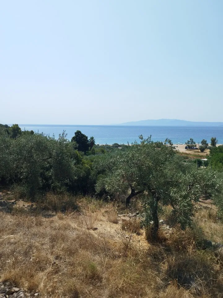 οικόπεδο προς πώληση 4000 τ.μ Αριστοτέλης Χαλκιδική