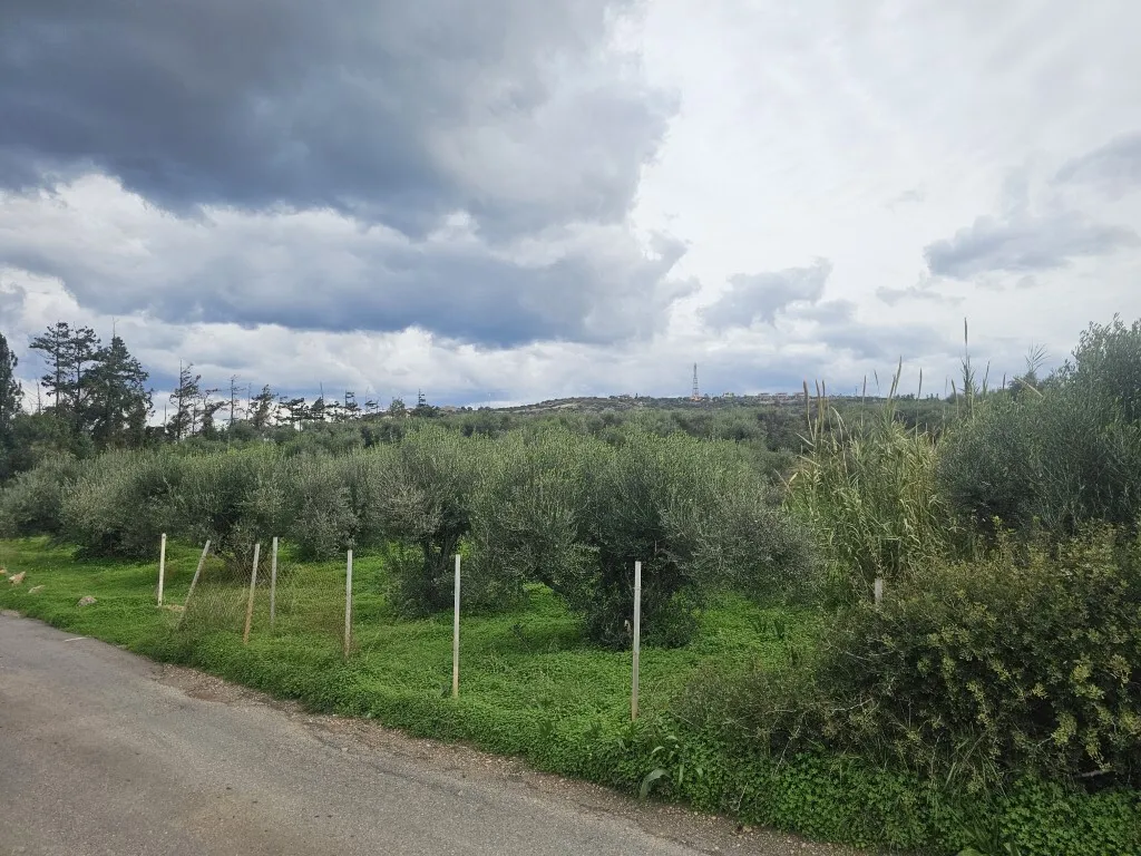 οικόπεδο προς πώληση 8500 τ.μ Βραχάσι Νομός Λασιθίου