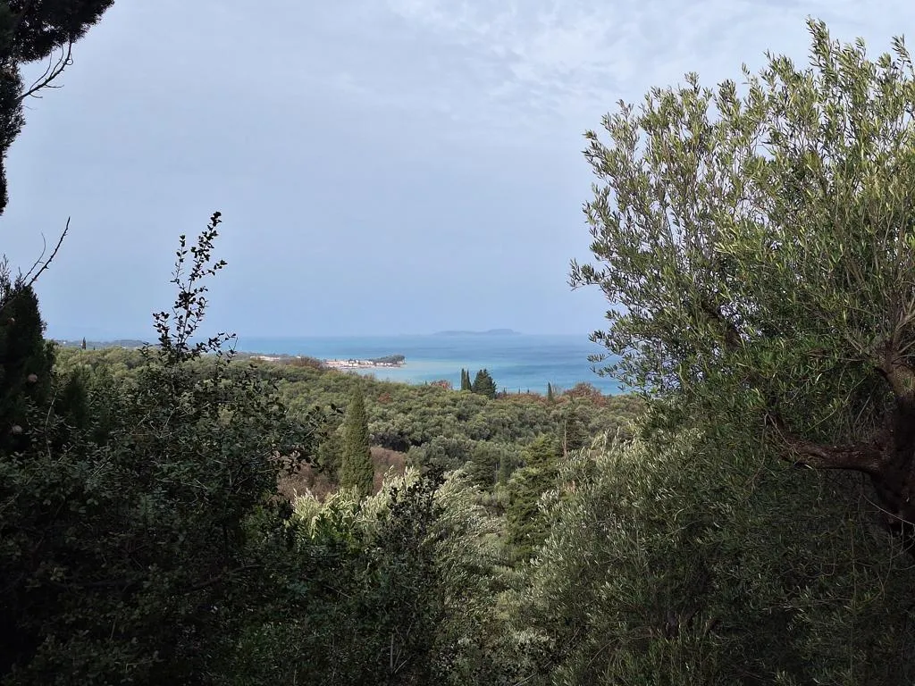 οικόπεδο προς πώληση 1250 τ.μ Κέρκυρα Νομός Κέρκυρας