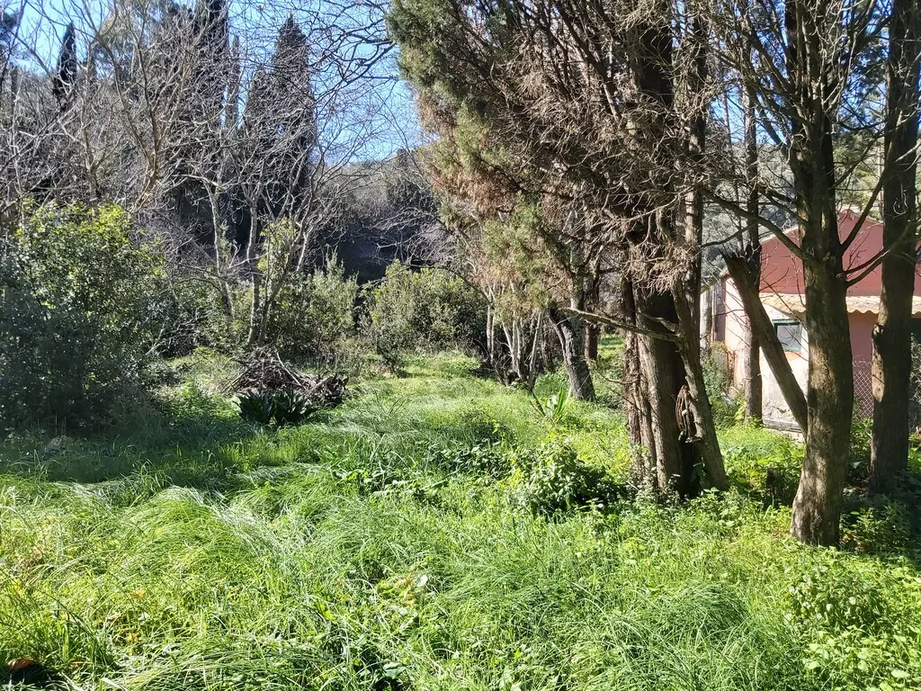 οικόπεδο προς πώληση 2770 τ.μ Κέρκυρα Νομός Κέρκυρας