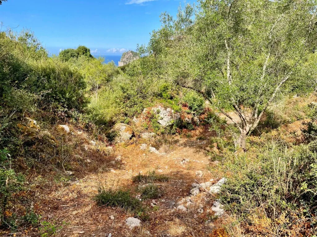 οικόπεδο προς πώληση 4162 τ.μ Κέρκυρα Νομός Κέρκυρας