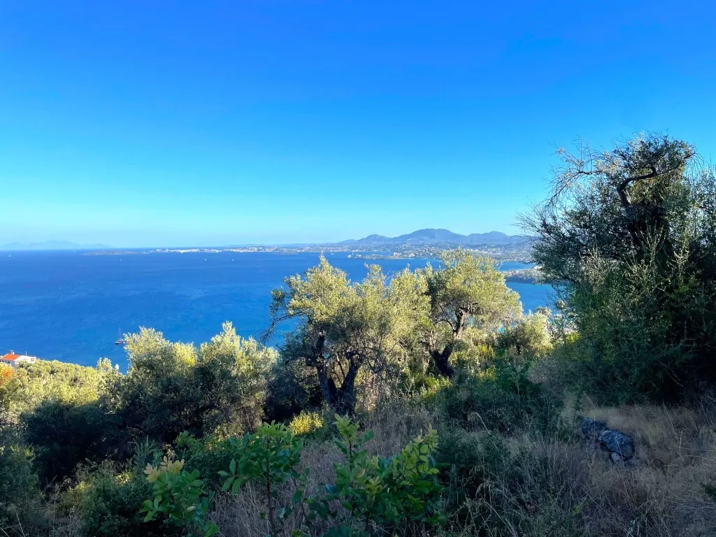 οικόπεδο προς πώληση 4982 τ.μ Κέρκυρα Νομός Κέρκυρας