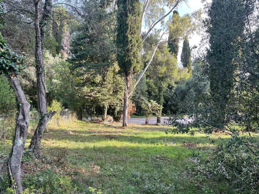 οικόπεδο προς πώληση 3321 τ.μ Κέρκυρα Νομός Κέρκυρας