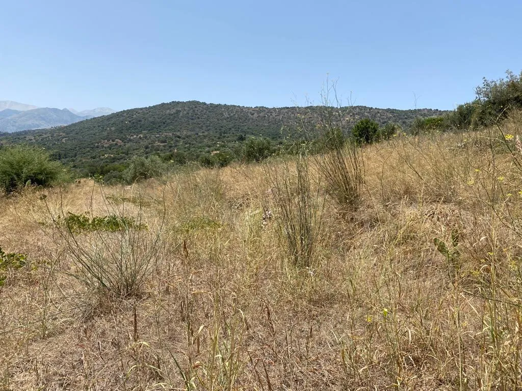 οικόπεδο προς πώληση 5335 τ.μ Αρμένοι Νομός Χανίων
