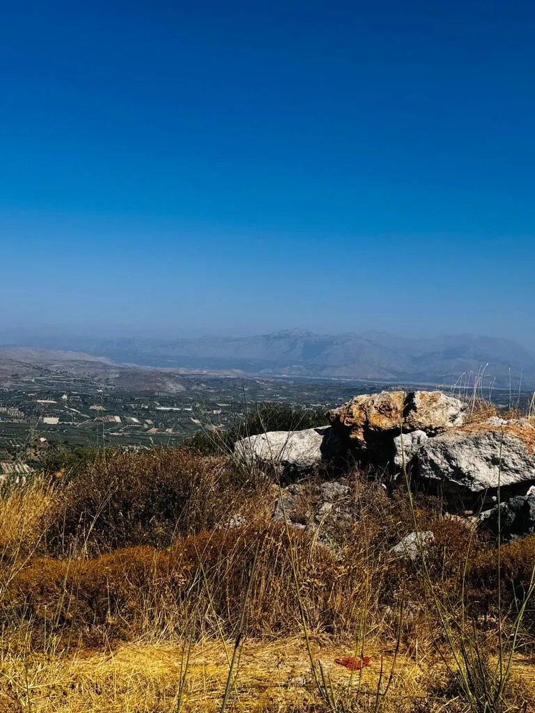οικόπεδο προς πώληση 2500 τ.μ Αρχάνες Νομός Ηρακλείου