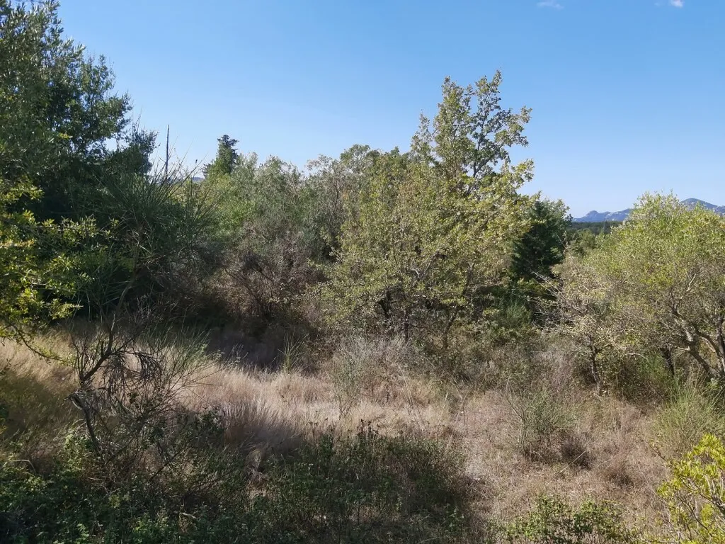 οικόπεδο προς πώληση 58000 τ.μ Κέρκυρα Νομός Κέρκυρας