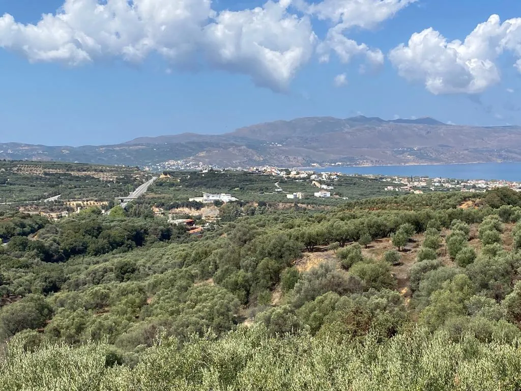 οικόπεδο προς πώληση 5350 τ.μ Πλατανιάς Νομός Χανίων