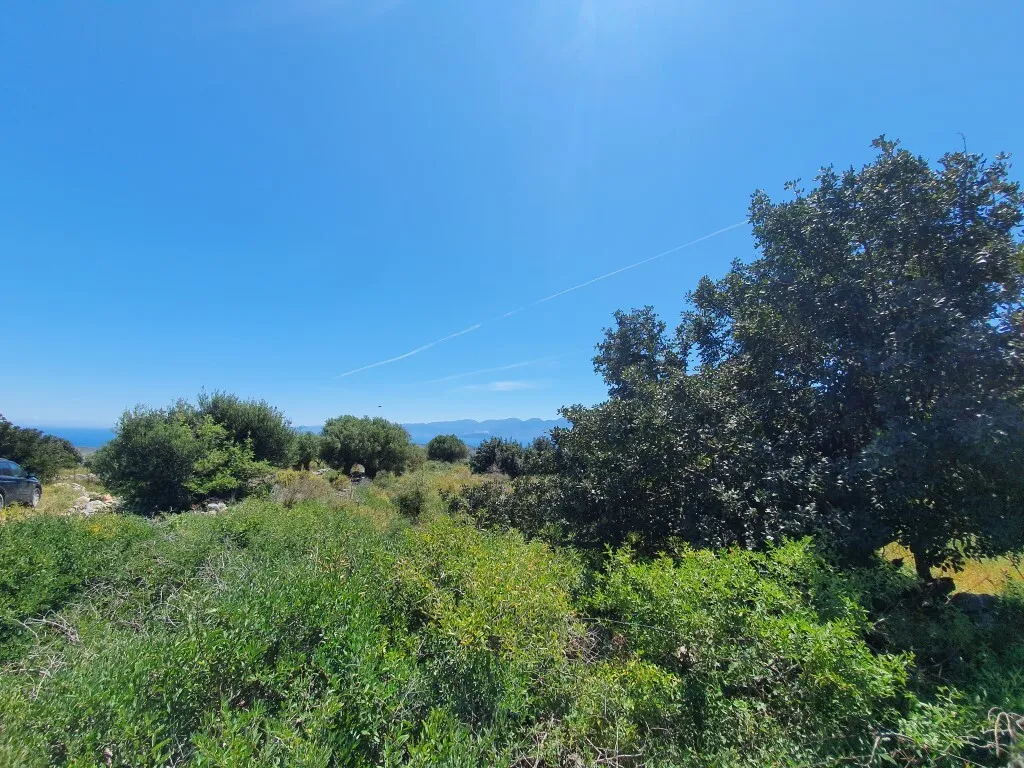 οικόπεδο προς πώληση 7857 τ.μ Άγιος Νικόλαος Νομός Λασιθίου
