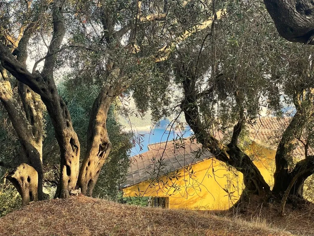 οικόπεδο προς πώληση 1035 τ.μ Κέρκυρα Νομός Κέρκυρας