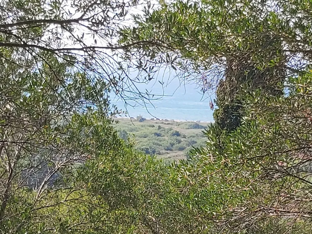 οικόπεδο προς πώληση 4500 τ.μ Κέρκυρα Νομός Κέρκυρας